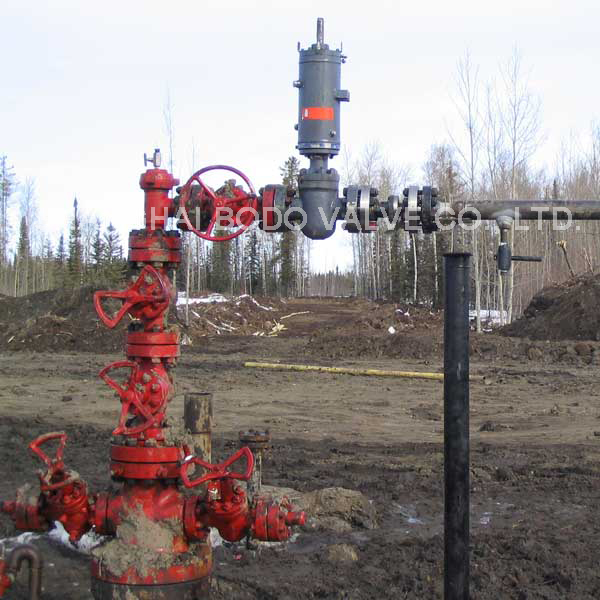 SSV Wellhead Assembly